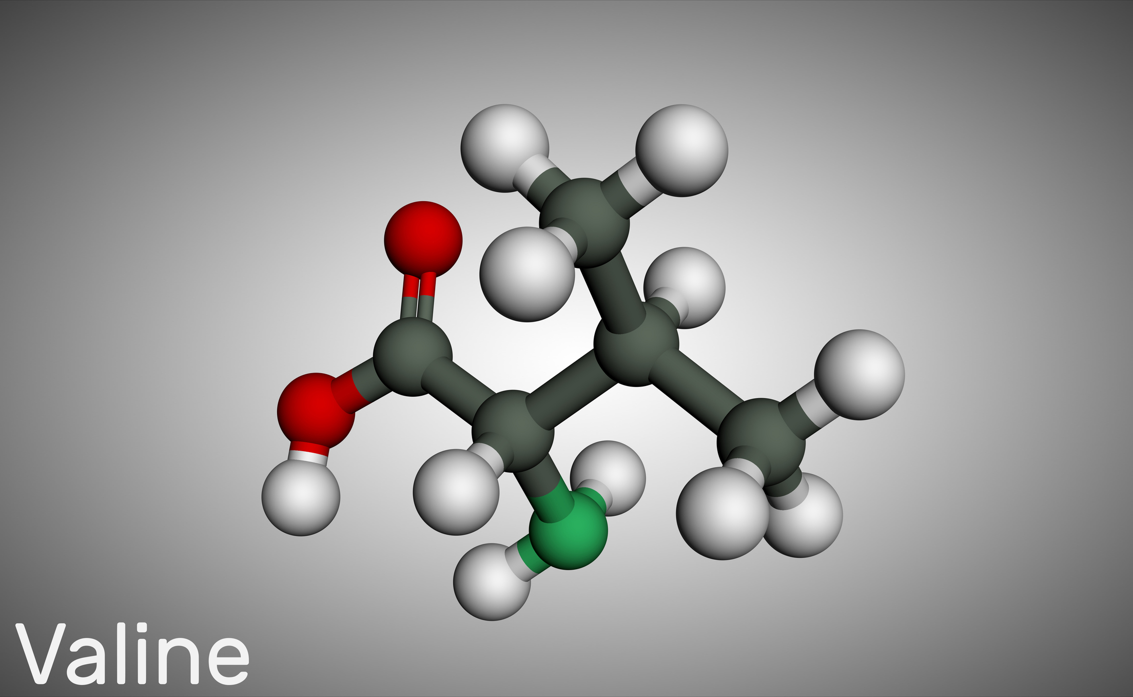 Valine, Val molecule, is -amino acid . It is used in the biosynthesis of proteins. Molecule model. 3D rendering