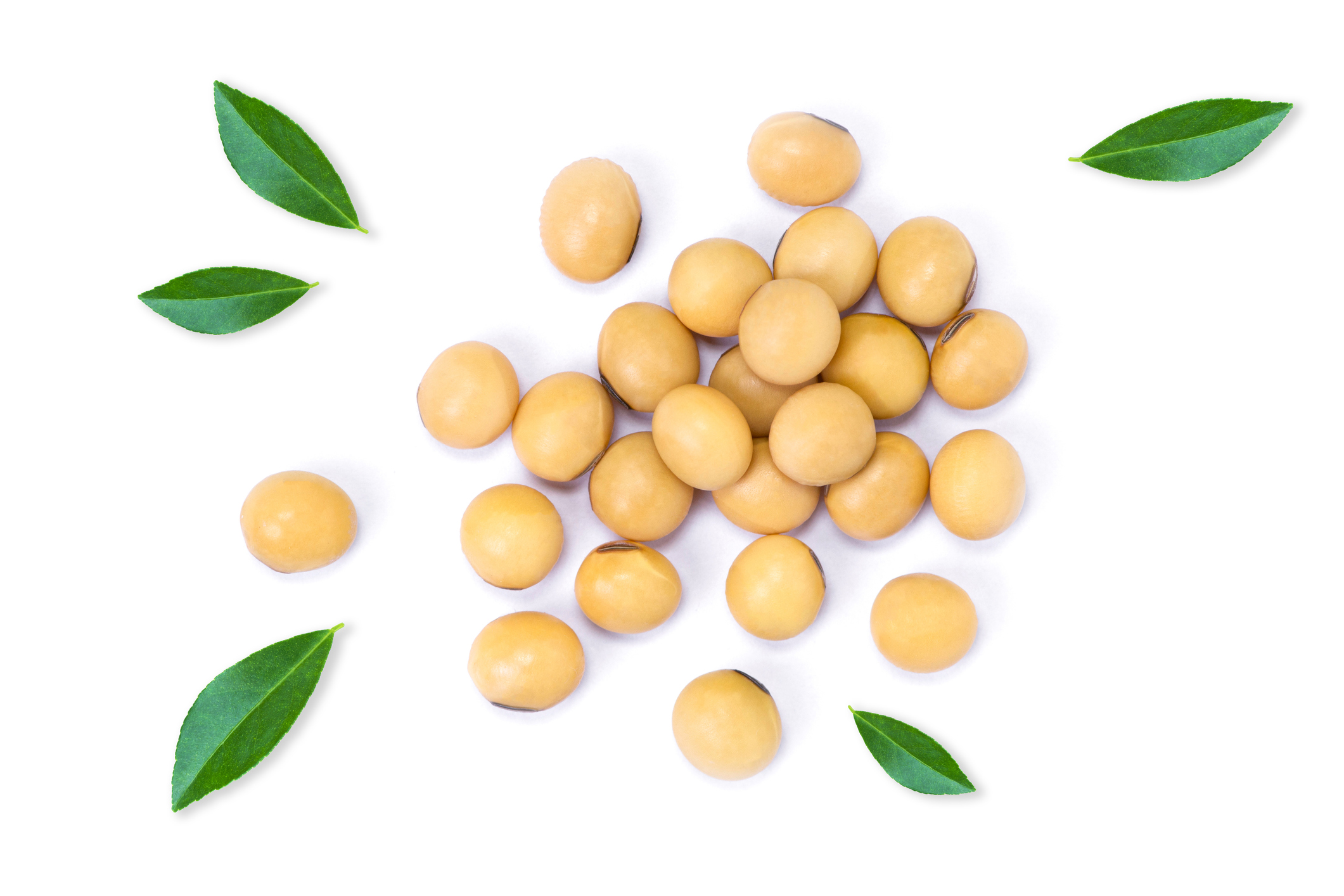 Soy beans with green leaves isolated on white background. Top view. Flat lay.