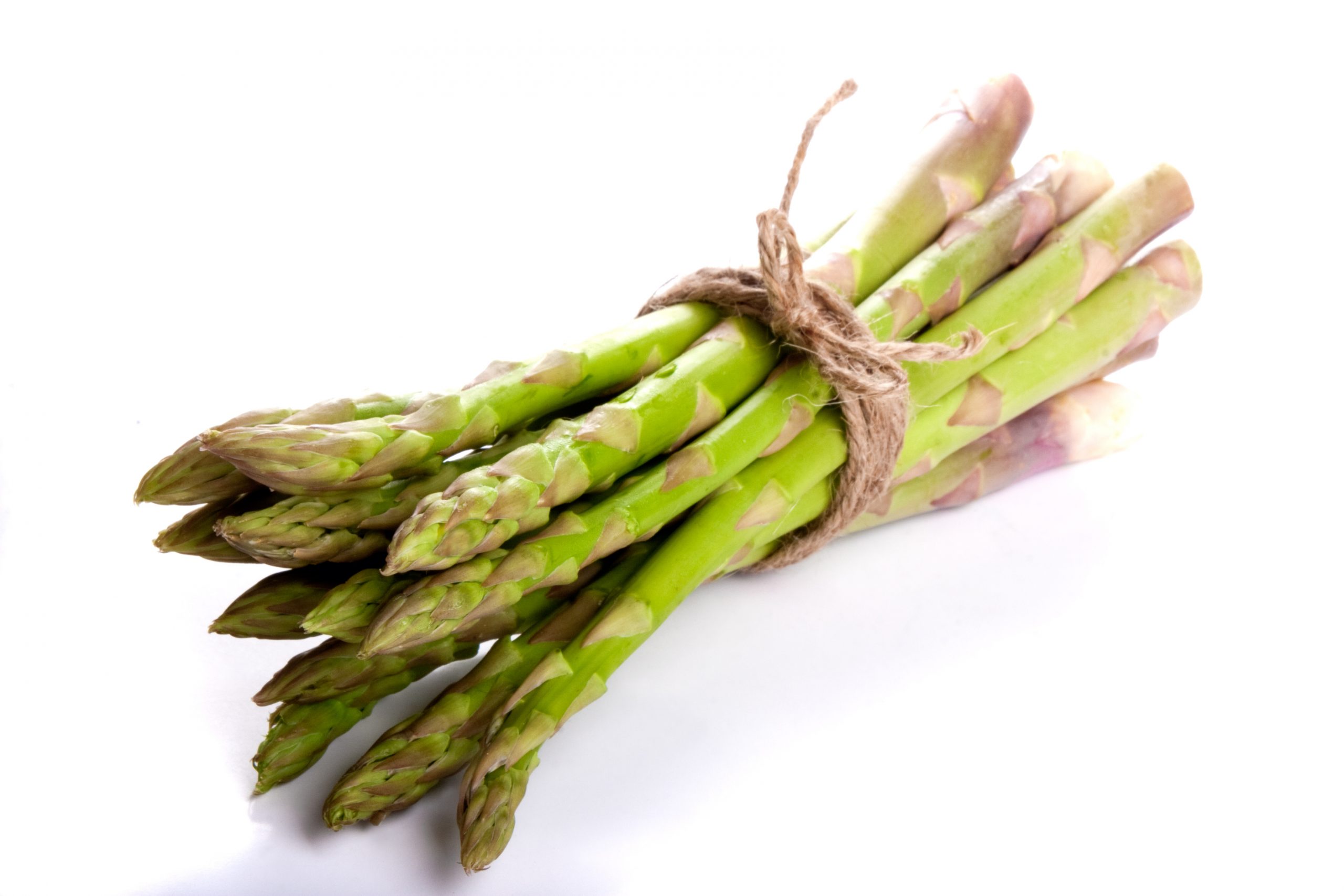 Isolated and lying bunch of asparagus tied with a string in a loop. Refection in the ground.