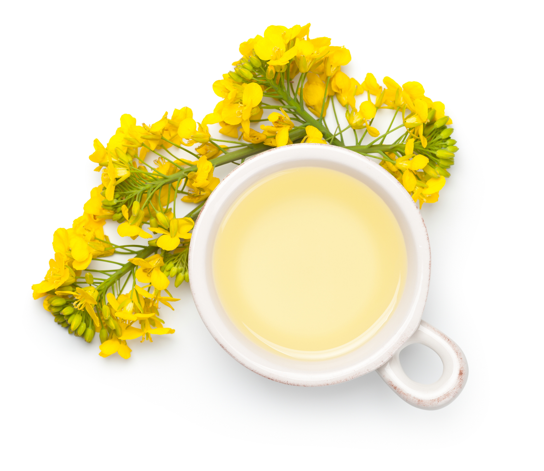 Rapeseed oil with rape flowers isolated on white background. Top view