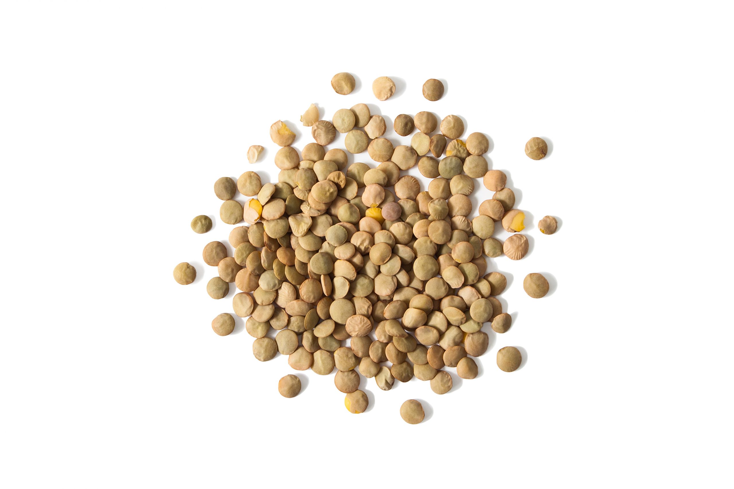 Isolated stack of uncooked lentils on white background from above.