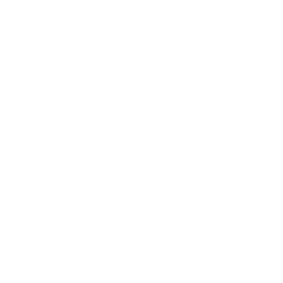 vegan (1)